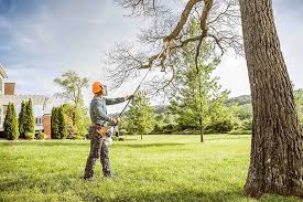 Professional Tree Services in New York Mills, NY